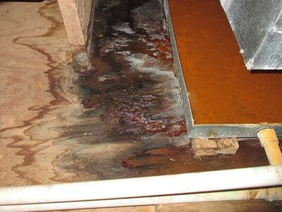 About water damage restoration service - burst pipe water damage experts in Mount Vernon